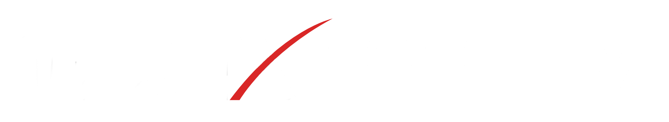 TEREX SYSTEM